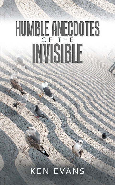 Cover image for book Humble Anecdotes of the Invisible