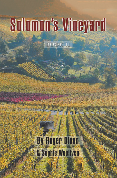 Cover image for book Solomon’s Vineyard