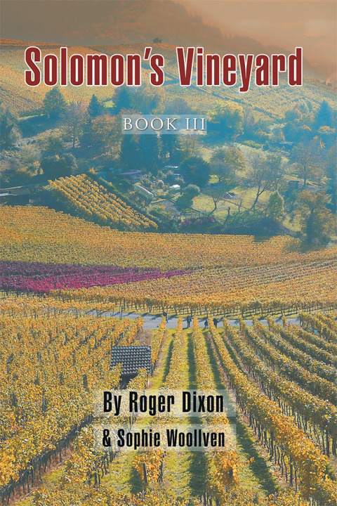 Cover image for book Solomon’s Vineyard
