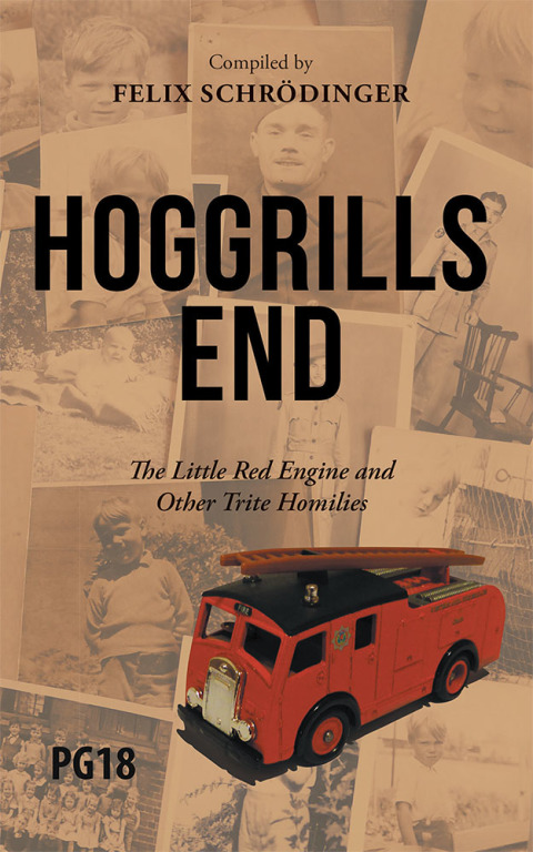 Cover image for book Hoggrills End
