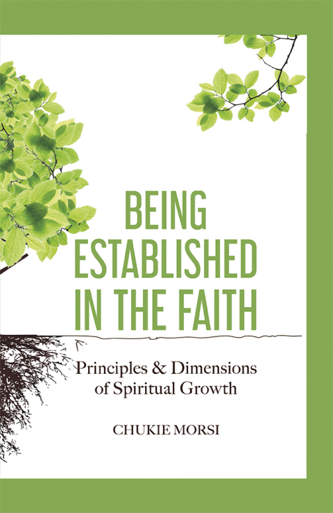 Cover image for book Being Established in the Faith