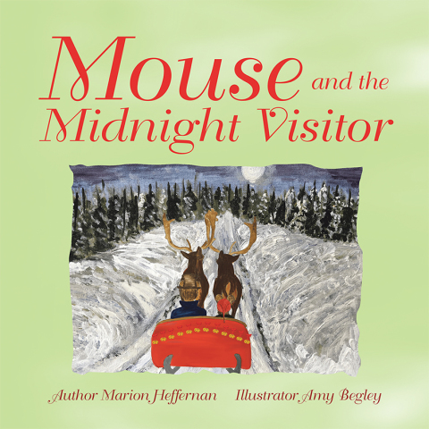 Cover image for book Mouse and the Midnight Visitor
