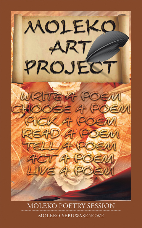 Cover image for book Moleko Art Project