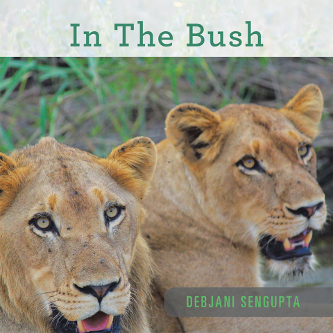 Cover image for book In the Bush