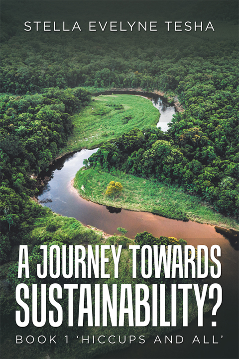 Cover image for book A Journey Towards Sustainability?