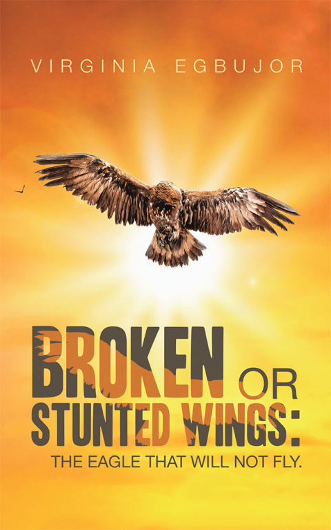 Cover image for book Broken or Stunted Wings: