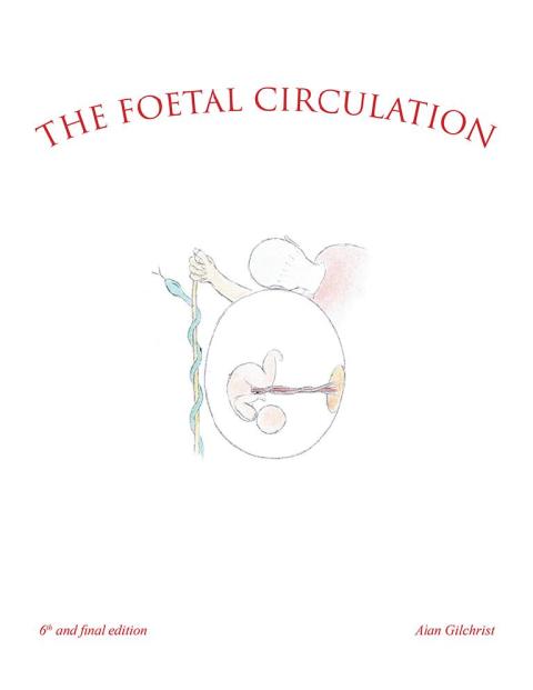 Cover image for book The Foetal Circulation