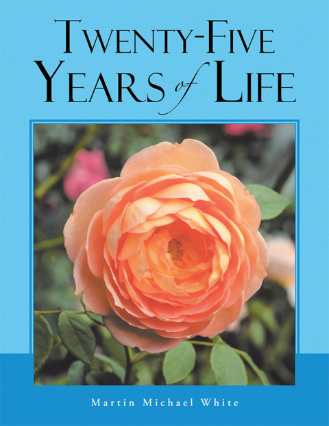 Cover image for book Twenty-Five Years of Life Take 2
