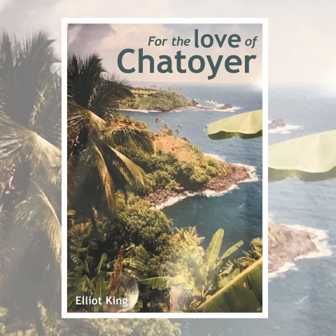 Cover image for book For the Love of Chatoyer