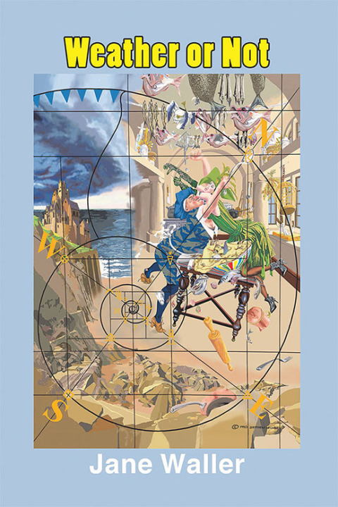 Cover image for book Weather or Not