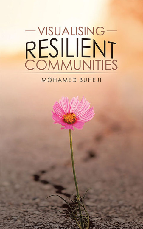 Cover image for book Visualising Resilient Communities