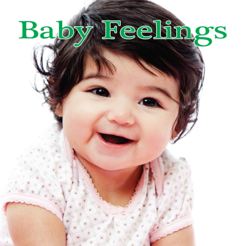 Cover image for book Baby Feelings