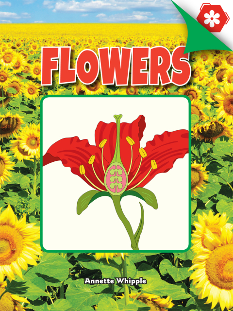 Cover image for book Flowers