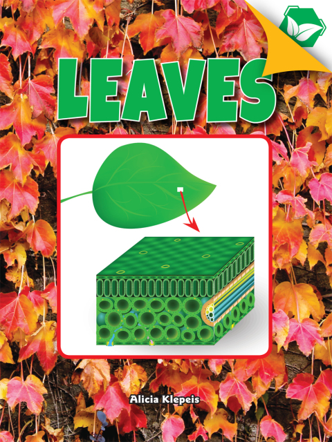 Cover image for book Leaves