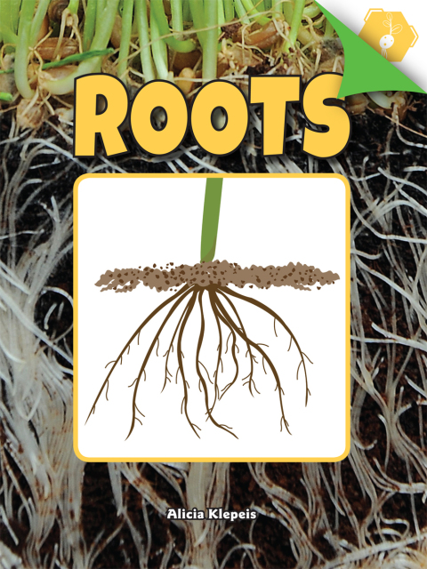 Cover image for book Roots