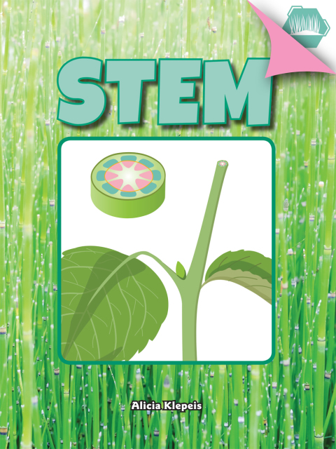 Cover image for book Stem