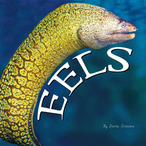 Cover image for book Eels