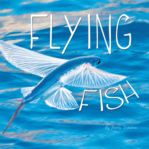 Cover image for book Flying Fish