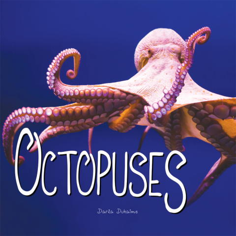 Cover image for book Octopuses
