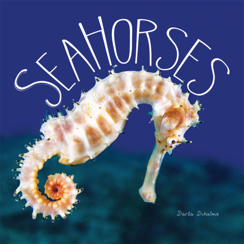 Cover image for book Sea Horses