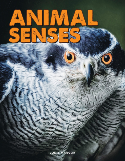 Cover image for book Animal Senses