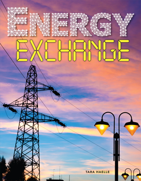Cover image for book Energy Exchange