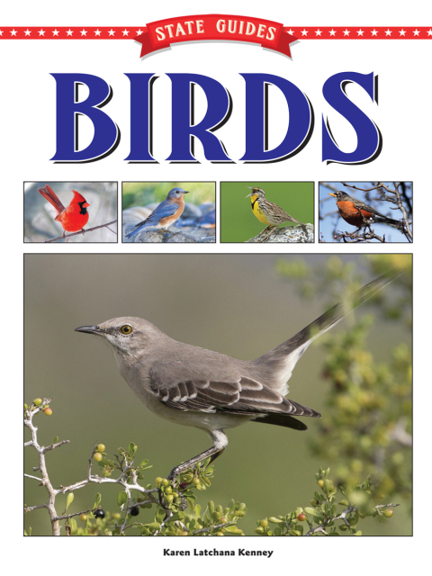 Cover image for book State Guides to Birds