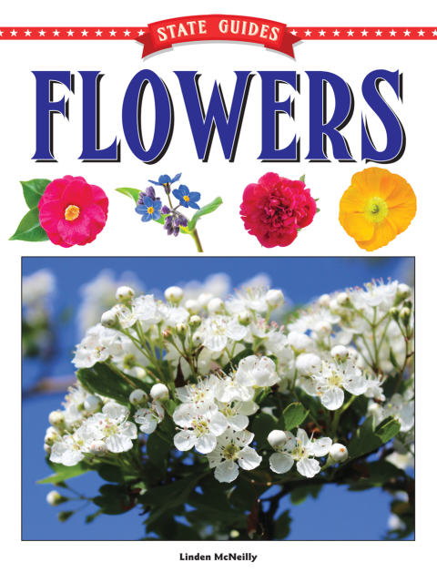 Cover image for book State Guides to Flowers