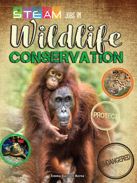 Cover image for book STEAM Jobs in Wildlife Conservation