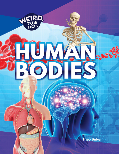 Cover image for book Human Bodies