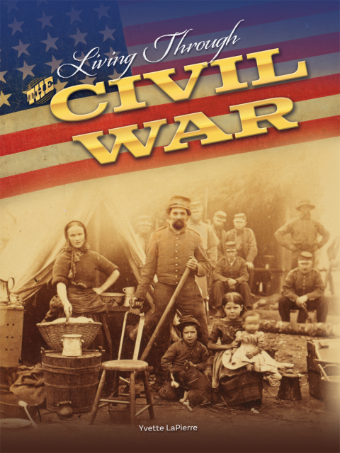 Cover image for book Living Through the Civil War