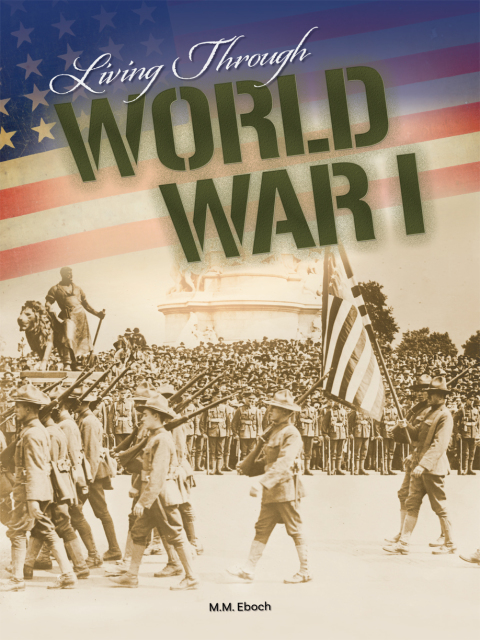 Cover image for book Living Through World War I