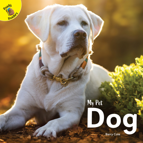 Cover image for book Dog