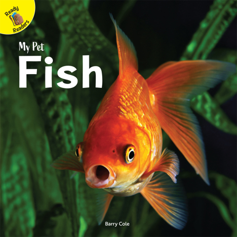 Cover image for book Fish