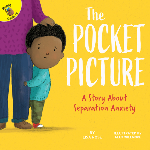 Cover image for book The Pocket Picture