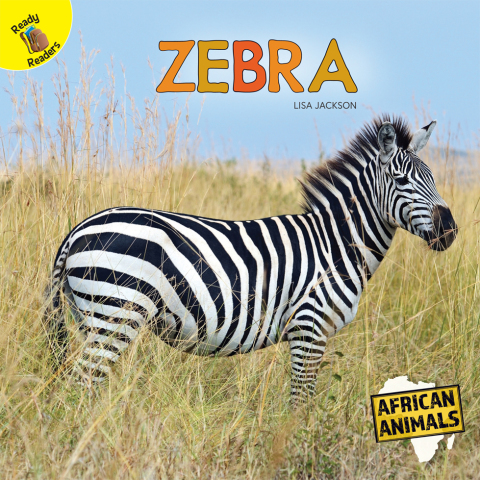 Cover image for book Zebra
