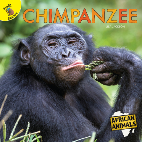 Cover image for book Chimpanzee