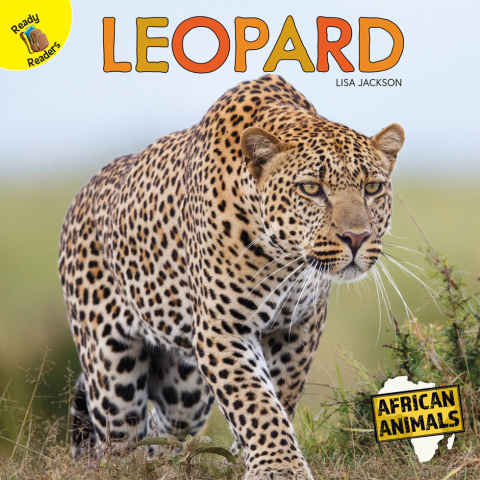 Cover image for book Leopard