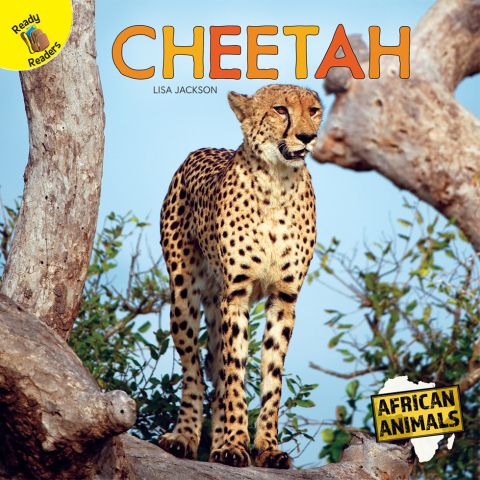 Cover image for book Cheetah