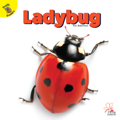 Cover image for book Ladybug