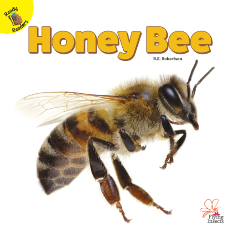 Cover image for book Honey Bee