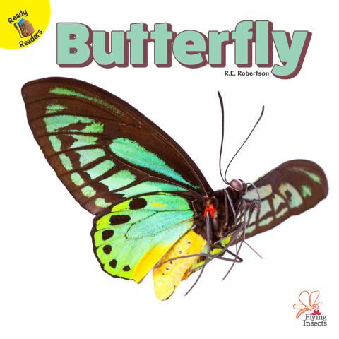 Cover image for book Butterfly