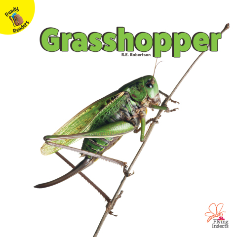 Cover image for book Grasshopper