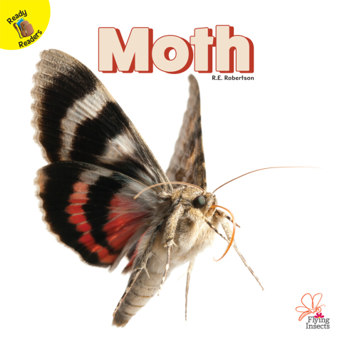 Cover image for book Moth
