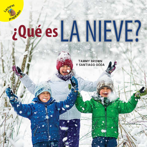 Cover image for book ¿Qué es la nieve?