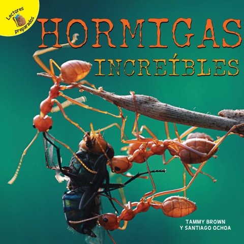 Cover image for book Hormigas increíbles