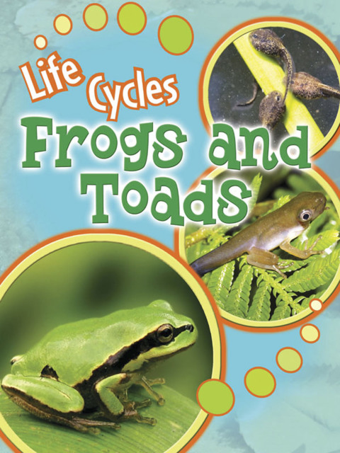 Cover image for book Frogs and Toads