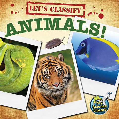 Cover image for book Let's Classify Animals!