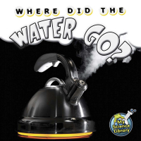 Cover image: Where Did The Water Go? 9781617419539