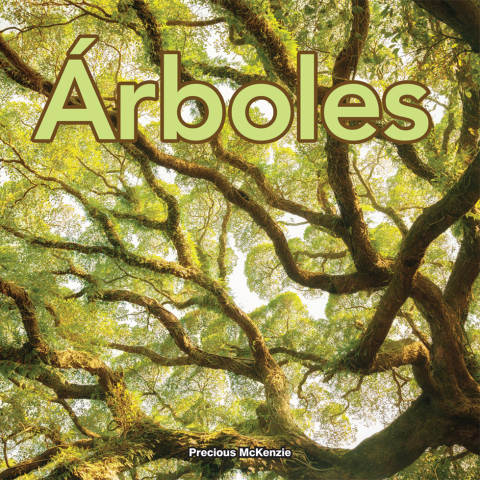 Cover image for book Árboles